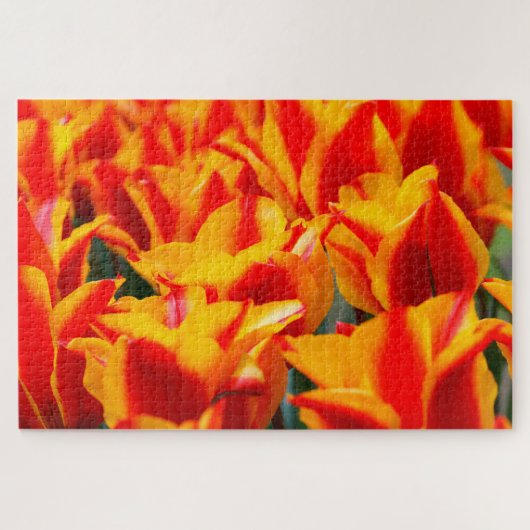 Puzzle Tulipes d'Amsterdam. (Horizontal)