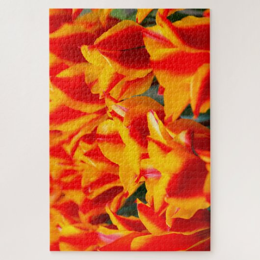 Puzzle Tulipes d'Amsterdam. (Vertical)