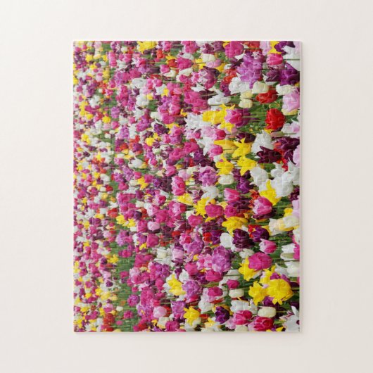 Puzzle Tulipes d'Amsterdam. (Vertical)