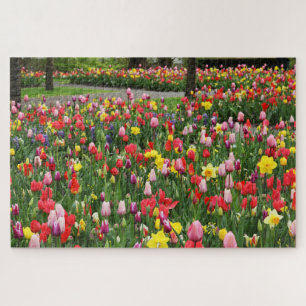 Puzzle Tulipes Dans Le Sentier Du Jardin Du Printemps Col