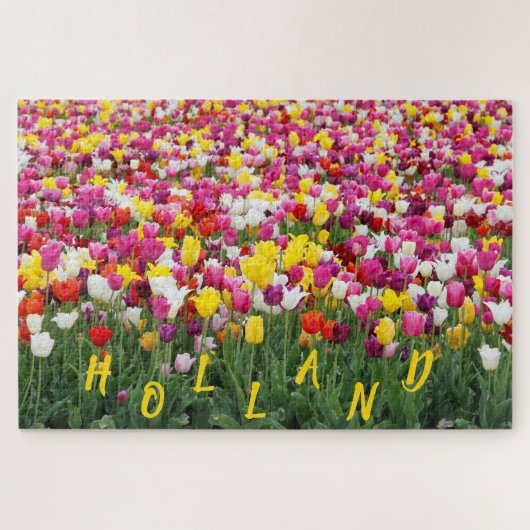 PUZZLE TULIPES DE LA HOLLANDE (Horizontal)