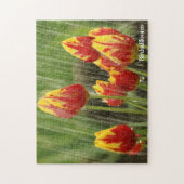 Puzzle Tulipes de ressort (Vertical)