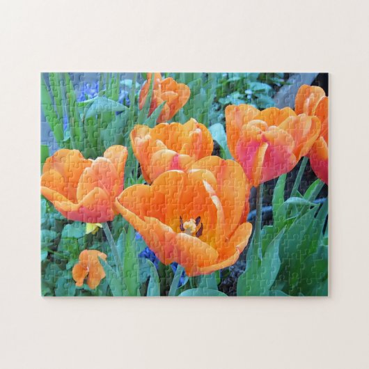 Puzzle Tulipes orange (Horizontal)