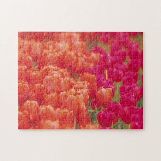 Puzzle Tulipes orange et rose (Horizontal)