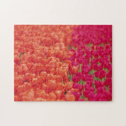 Puzzle Tulipes orange et rose (Horizontal)