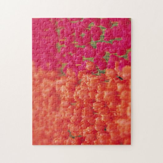 Puzzle Tulipes orange et rose (Vertical)