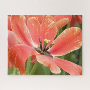 Puzzle tulipes oranges en fleur