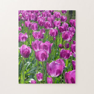 Puzzle Tulipes pourpres