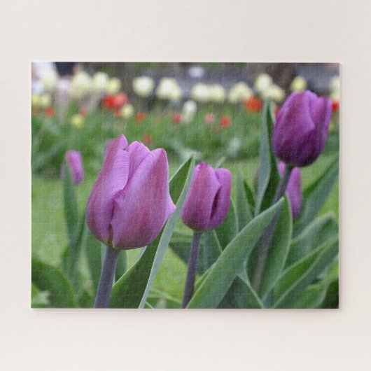 Puzzle Tulipes pourpres (Horizontal)