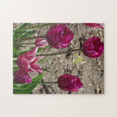 Puzzle Tulipes pourpres (Horizontal)