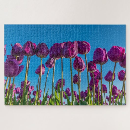 Puzzle Tulipes pourpres (Horizontal)