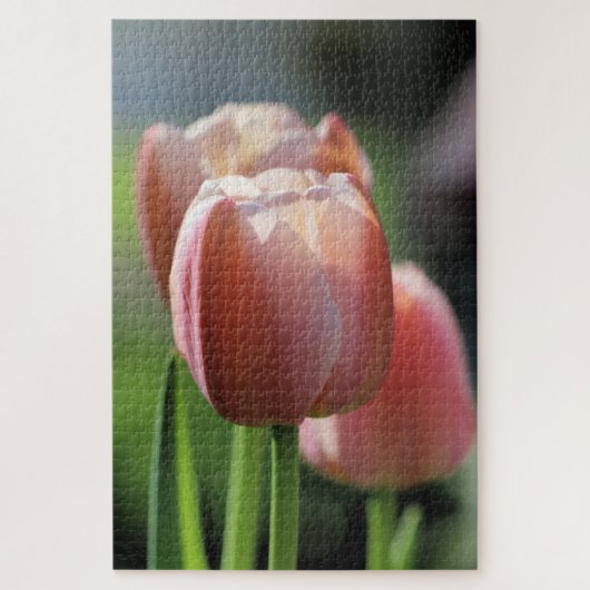 Puzzle Tulipes roses (Vertical)