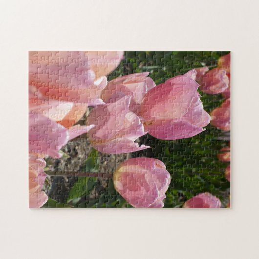 Puzzle Tulipes roses (Horizontal)