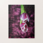 Puzzle Tulipes roses (Vertical)