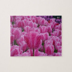 Puzzle Tulipes roses