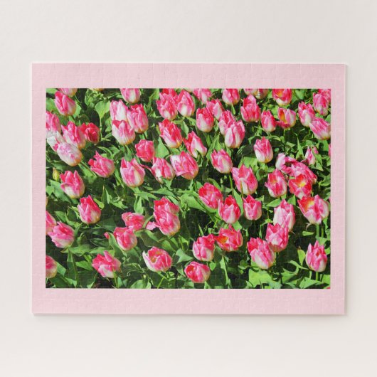 Puzzle Tulipes roses (Horizontal)