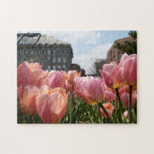 Puzzle Tulipes roses dans le North End de Boston