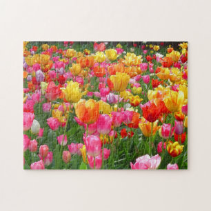 Puzzle Tulipes roses jaunes de rouge orange