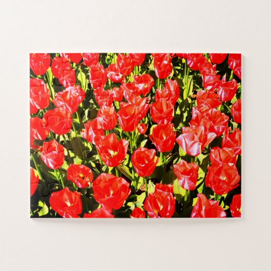 Puzzle Tulipes rouges (Horizontal)