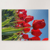 Puzzle Tulipes rouges en fleur (Horizontal)