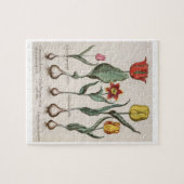 Puzzle Tulipes : rubens de maculis du lutea 1.Tulipa ; Au (Horizontal)