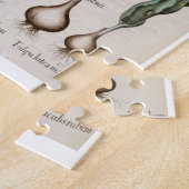 Puzzle Tulipes : rubens de maculis du lutea 1.Tulipa ; Au (Côté)