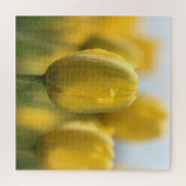 Puzzle Tulipes solaires (Horizontal)