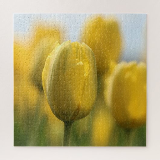 Puzzle Tulipes solaires (Vertical)