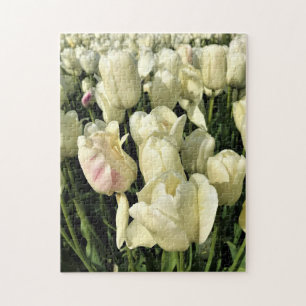 Puzzle Tulips blanches, Oregon