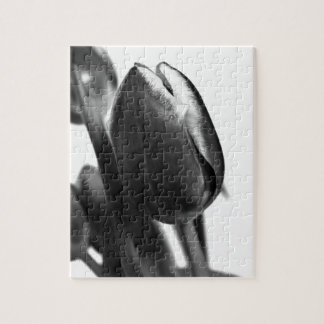 PUZZLE TULIPS DE DARK