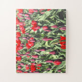 Puzzle Tulips rouges 30-pc (Vertical)