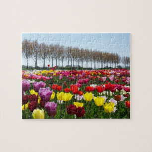 Puzzle tulips spring is in de lucht legpuzzel