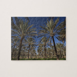 Puzzle Tunisie, Sahara Desert, Douz, Zone Touristique, 2