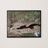 Puzzle Turquie Run State Park, Hallow Tree (Horizontal)