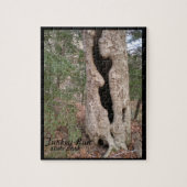 Puzzle Turquie Run State Park, Hallow Tree (Vertical)