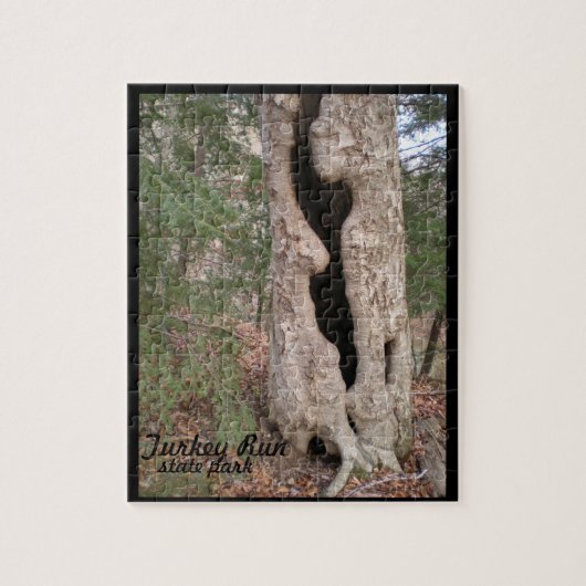 Puzzle Turquie Run State Park, Hallow Tree (Vertical)