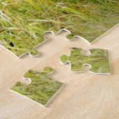 Puzzle Turquie sauvage en haute herbe à l'automne (Côté)
