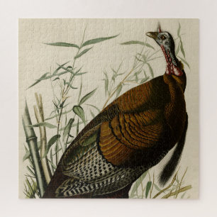 Puzzle Turquie sauvage (mâle) des oiseaux d'Amérique d'Au