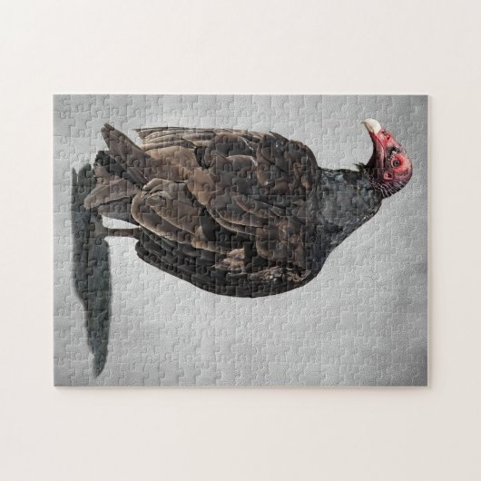 PUZZLE TURQUIE VULTURE (Horizontal)