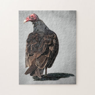 PUZZLE TURQUIE VULTURE