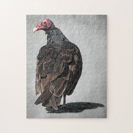PUZZLE TURQUIE VULTURE (Vertical)