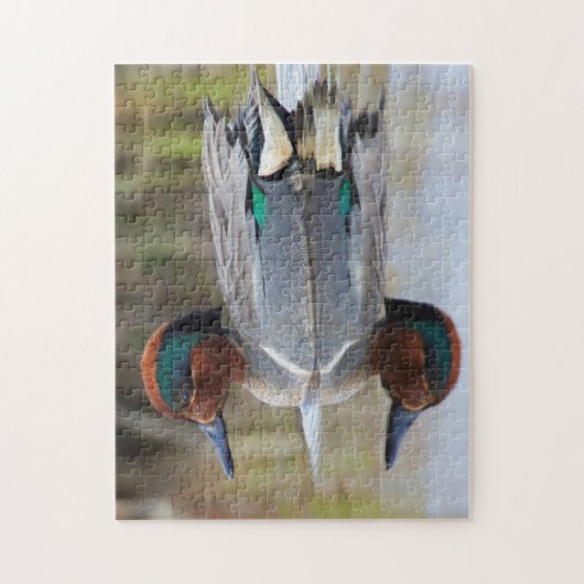 Puzzle Turquoise à ailes vertes (Vertical)