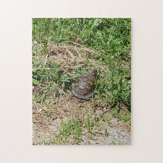Puzzle Turtle (Vertical)