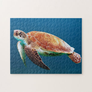 Puzzle Turtle Blue Water Photo