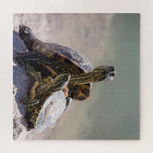 Puzzle Turtle Love (Horizontal)