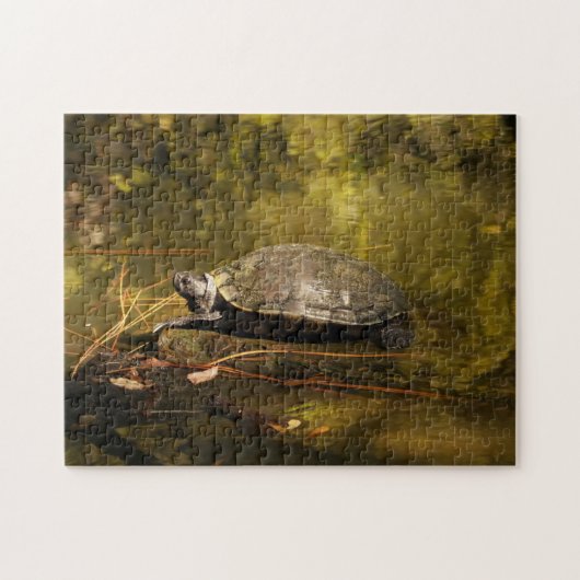 Puzzle - Turtle on Log in Pond (Horizontal)
