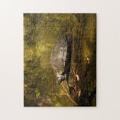 Puzzle - Turtle on Log in Pond Legpuzzel (Verticaal)