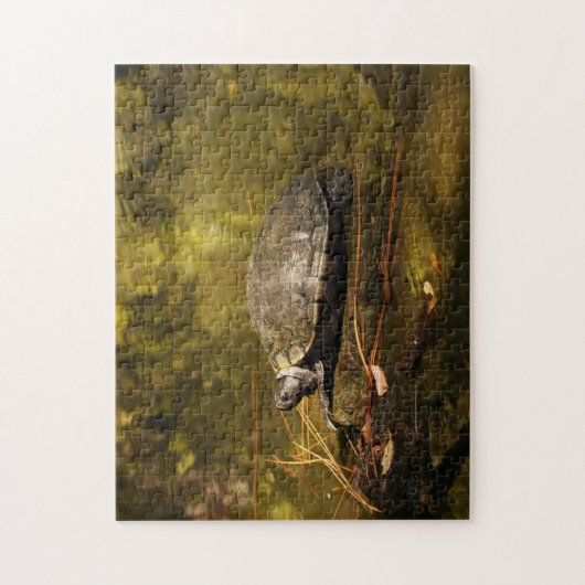 Puzzle - Turtle on Log in Pond Legpuzzel (Verticaal)