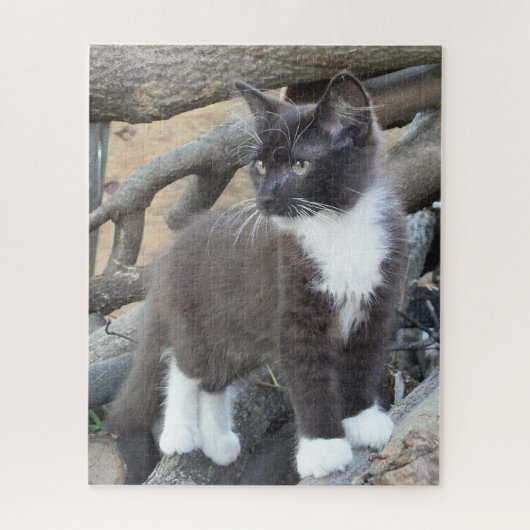 Puzzle Tuxedo Kitten (Vertical)