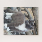 Puzzle Tuxedo Kitten (Horizontal)